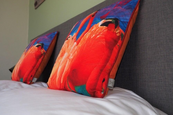 Hotel Oasis Guesthouse Bonaire Superior Suite (Hoop)